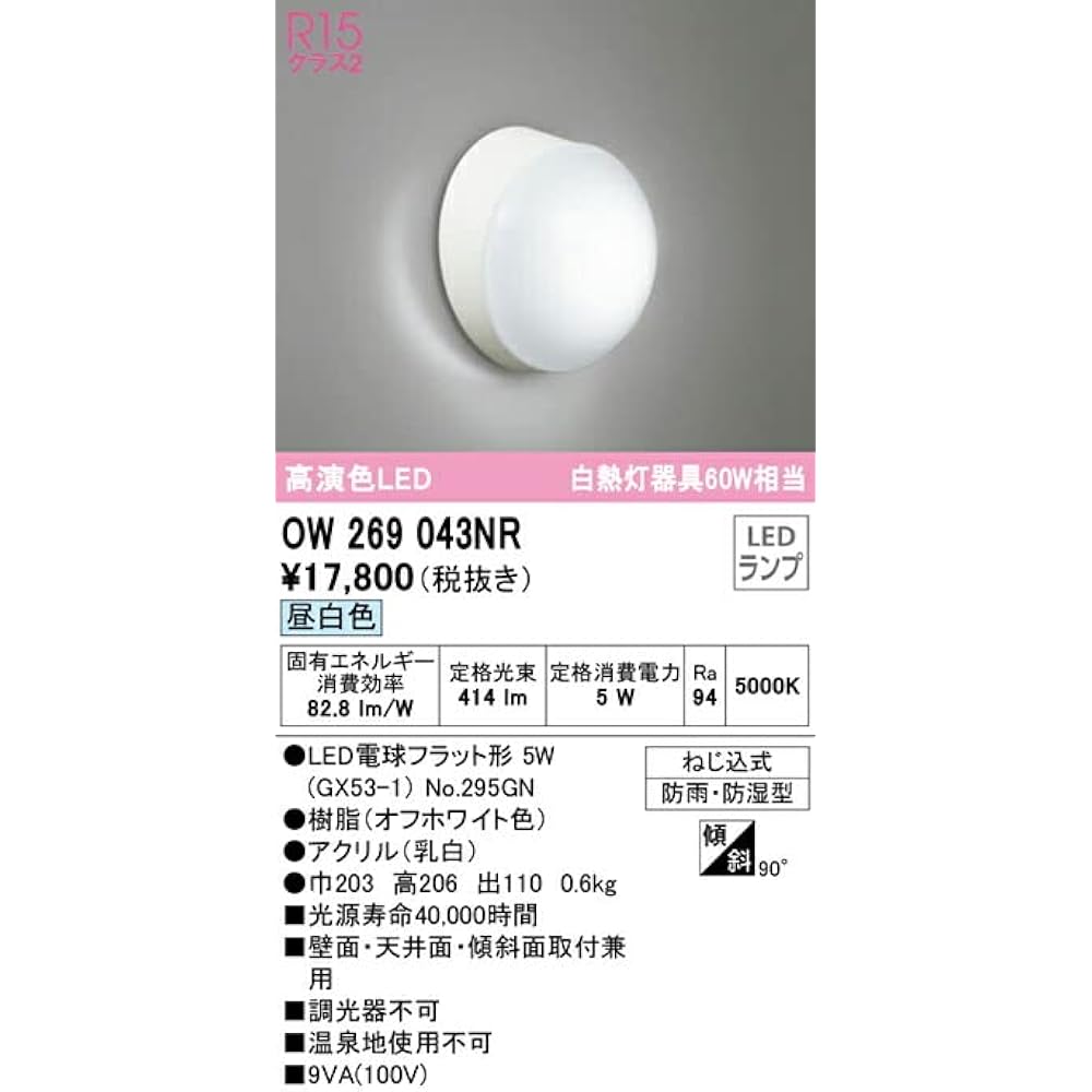 Orderic Exterior LED Porch Light High Color Rendering Equivalent to 60W Incandescent Light Rainproof/Moistureproof Daylight White: OW269043NR
