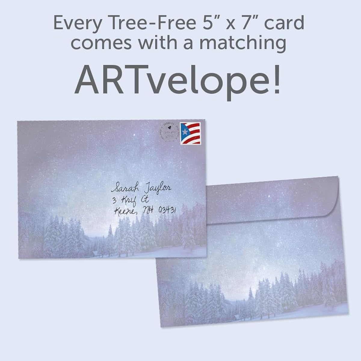 Tree-Free Greetings Solstice Greeting Cards, 2 Pack with Matching Envelopes, Eco-Friendly, Made in the USA, 100% Recycled Paper, 5" x 7", Peace on a Winter Night (GT64286)