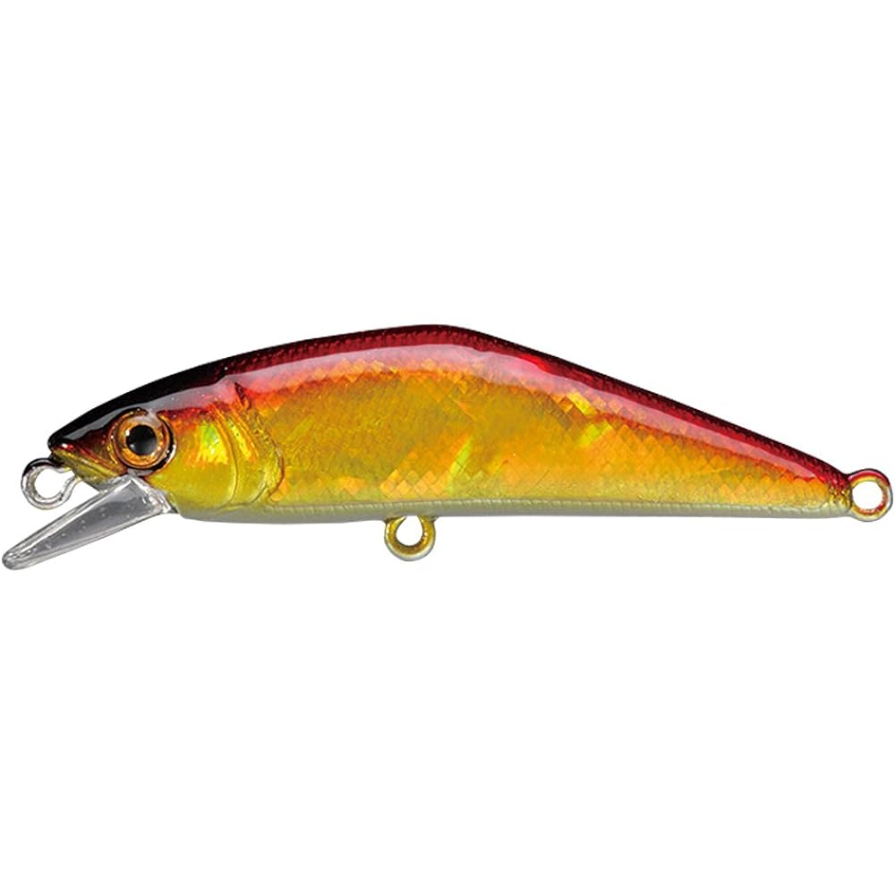 SMITH D-CONTACT 50 Abalone SMITH D-CONTACT