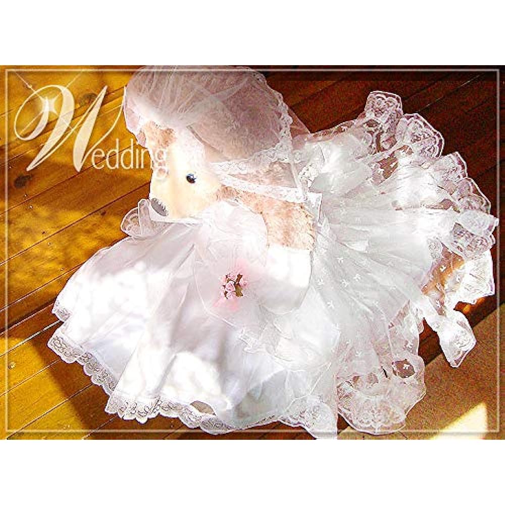 The long-awaited M size wedding Duffy Shellie May costume wedding dress (ribbon pattern) 12t-m