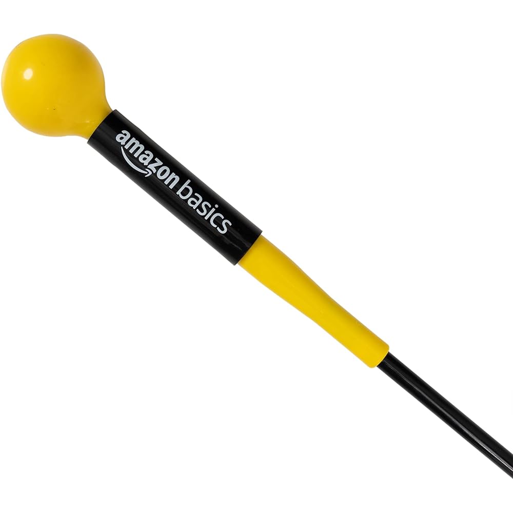 Golf Swing Trainer
