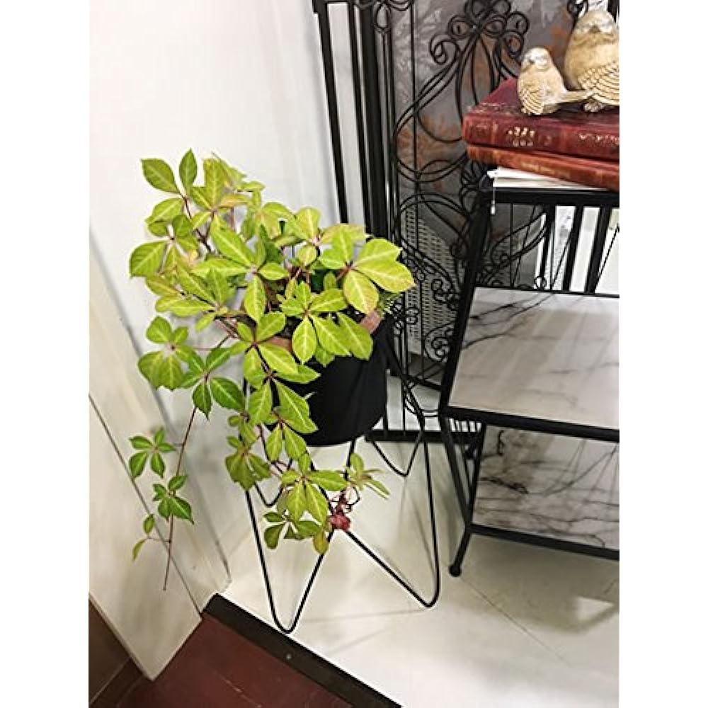 Kawabata Iron Stand Planter Pot Cover 1707TSF009