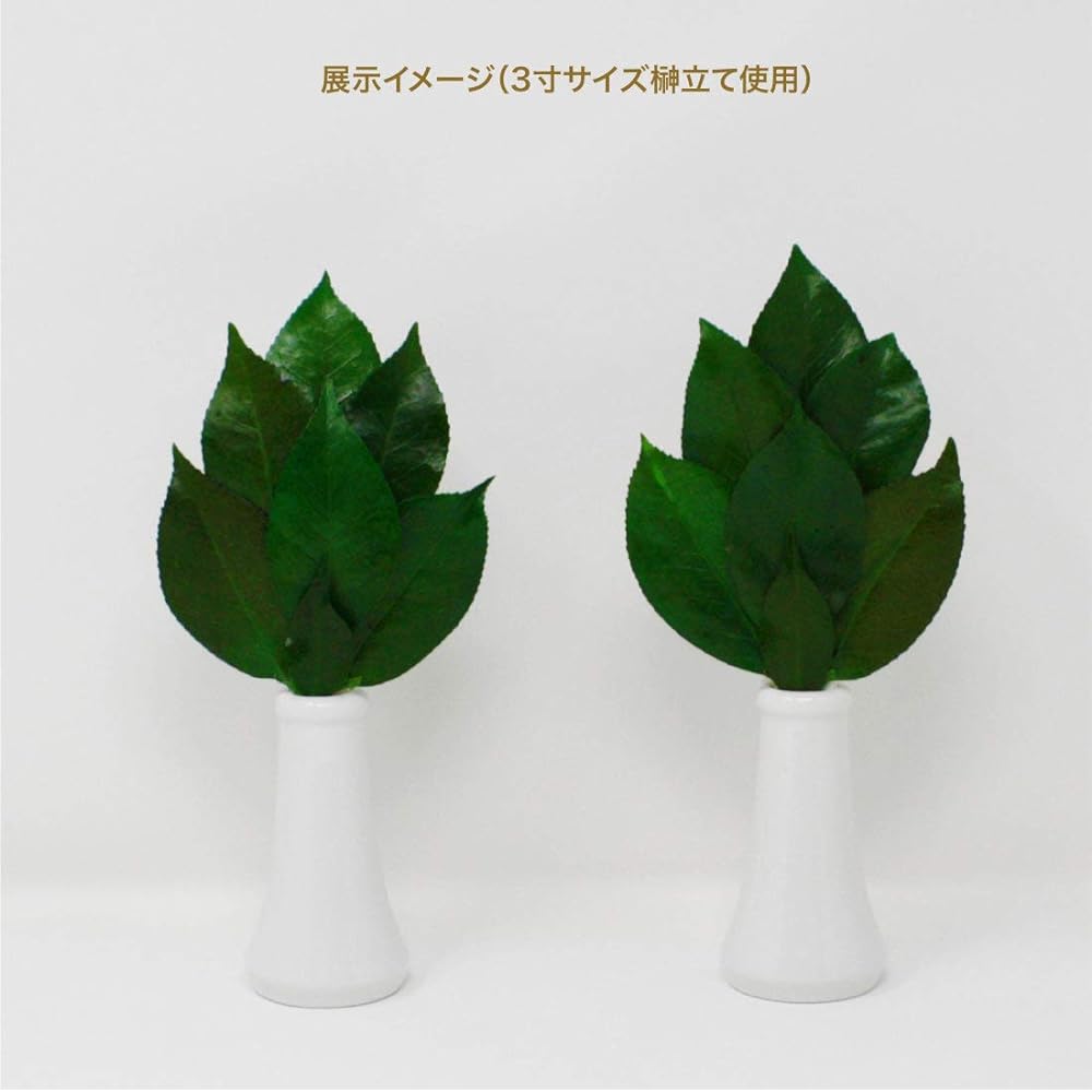 A&K Preserved Flower Sakaki Series MV Made in Japan Green Approx. 34 x 14 x 1 cm LK-012ML Pair (Set of 2)