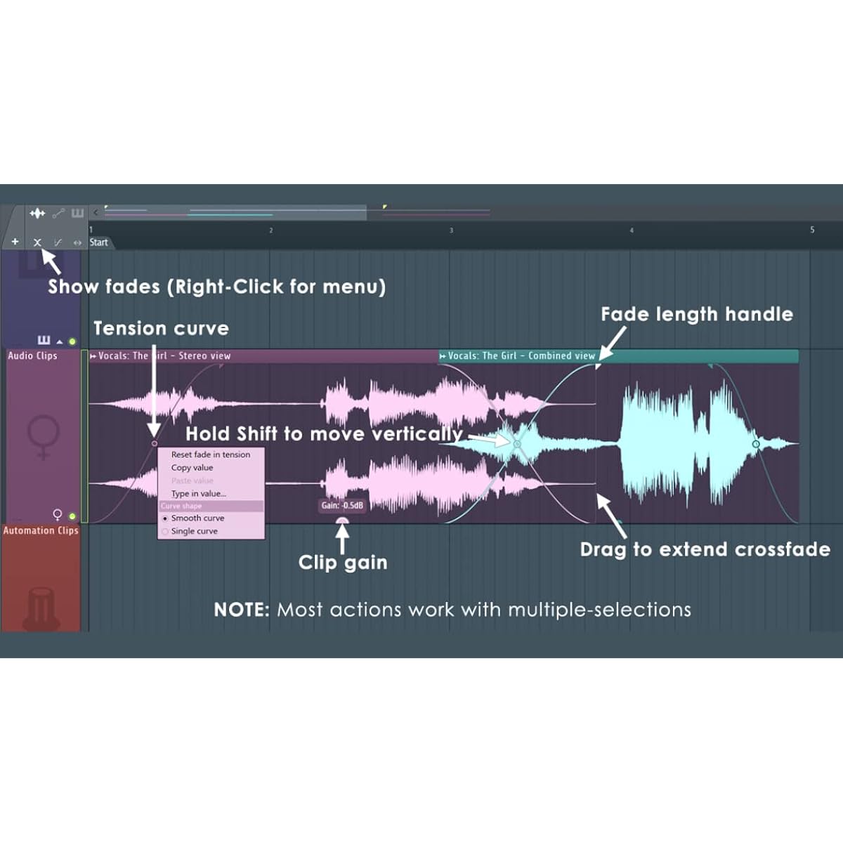 Image-Line FL STUDIO 21 Signature [Domestic genuine product]