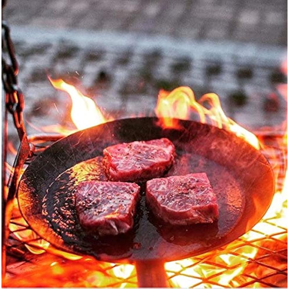 turk iron frying pan (for roasting) (24cm (deep)) [parallel import goods]