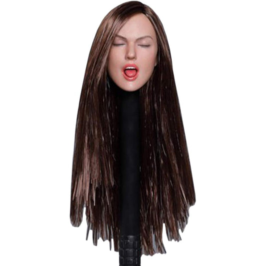 Scakbyer 1/6 Scale Female Head Sculpt European American Ladies Doll Head HT, VERYCOOL TTL Phicen TBLeague 12 inch Action Figure Body - Brown Long Straight Hair