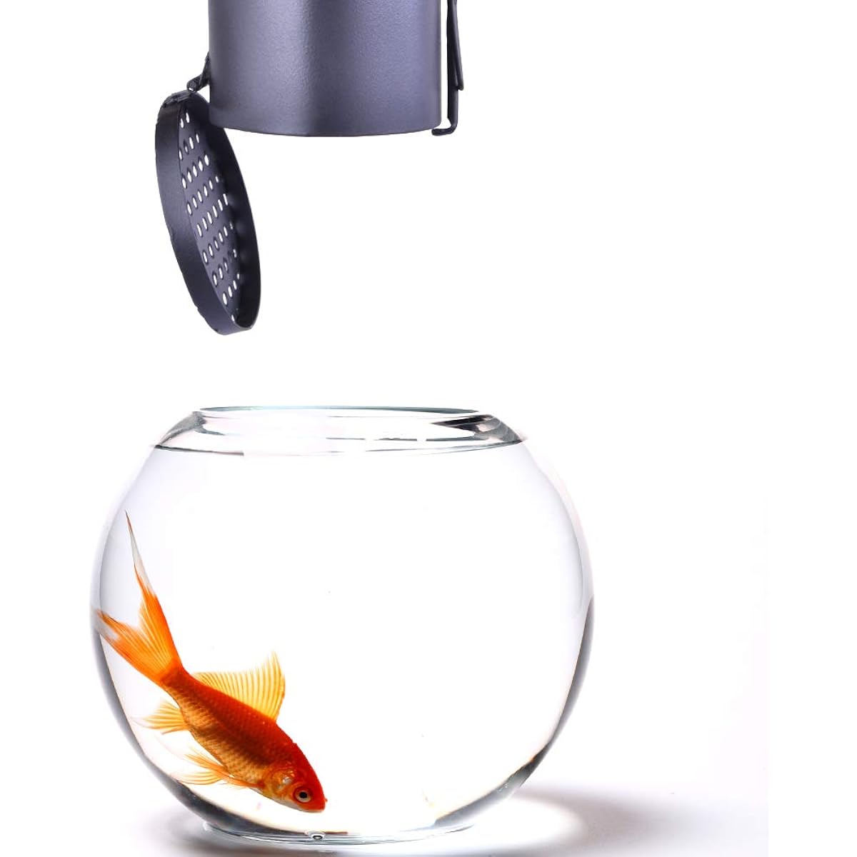 Doowops Appearing Goldfish Gimmick Metal Magic Trick Fish Appearing Magic