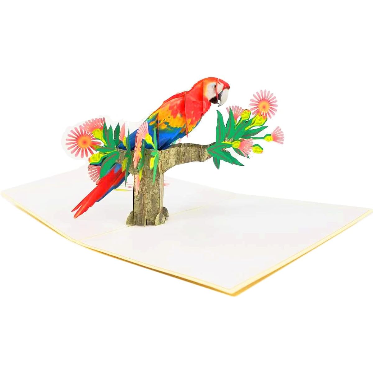Parrot Pop Up Birthday Card - Happy Birthday Pop Up Card for Son Daughter Wife Friends Nature Wildlife Bird Lover | Pop Card Express