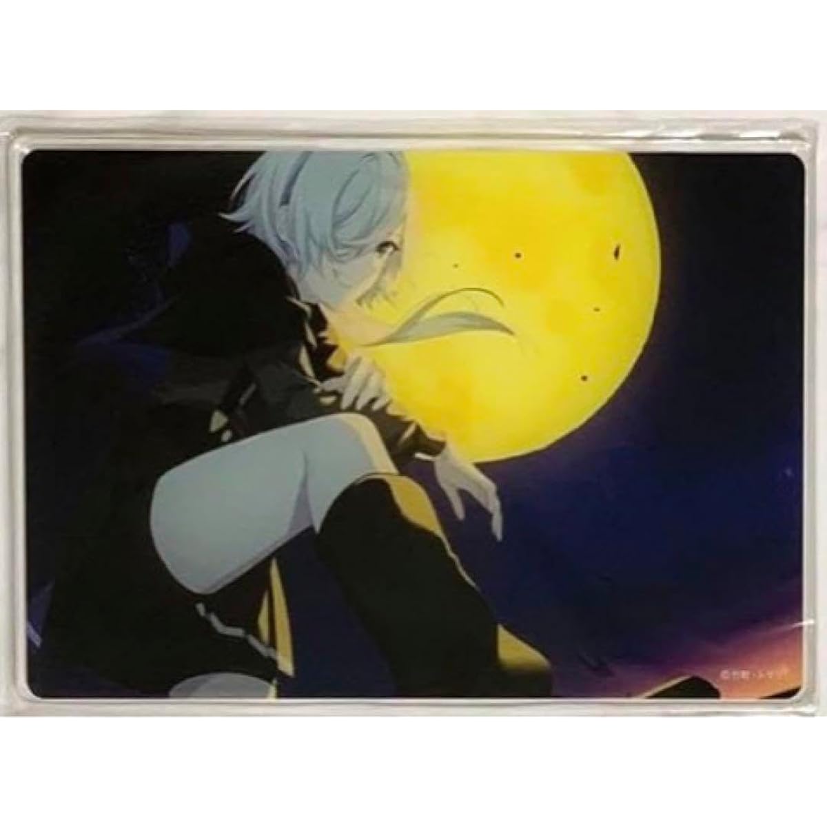 Spy Classroom Monica Acrylic Panel Lottery Hall