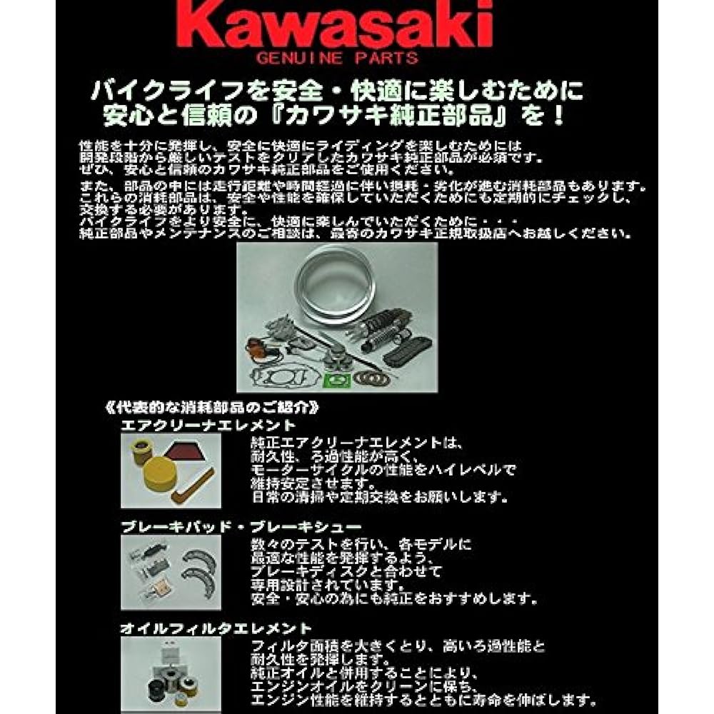 Kawasaki 2022 Z900RS/Z900RS SE/Z900RS 50th Anniversary Radiator Cover Black RH/LH Set 140931000499 1001499