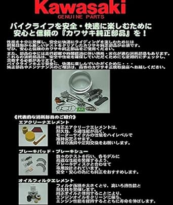 Kawasaki 2022 Z900RS/Z900RS SE/Z900RS 50th Anniversary Indicator Cover Silver Genuine Accessory 999941016