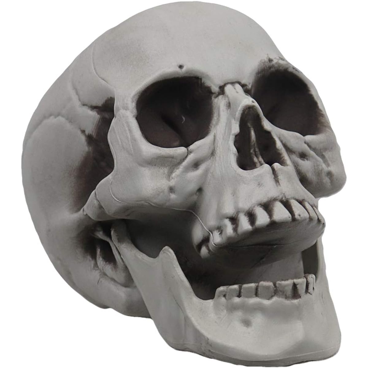 Halloween party cut off zombie head latex decoration props.
