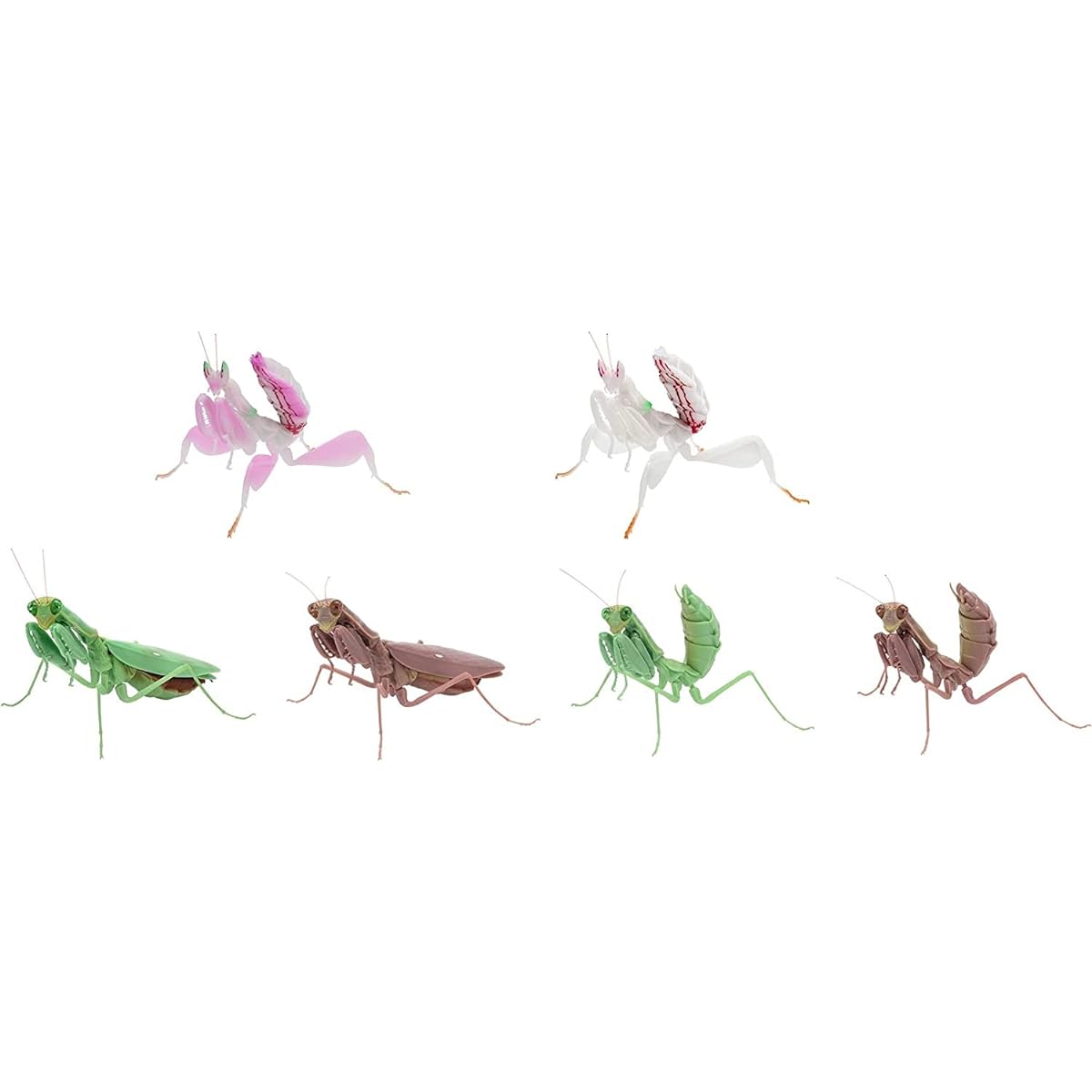 Creature Encyclopedia Kamakiri 03 All 6 types set Capsule Toy Bandai