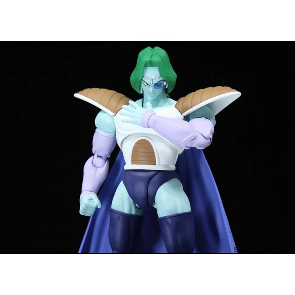 S.H.Figuarts Zarbon