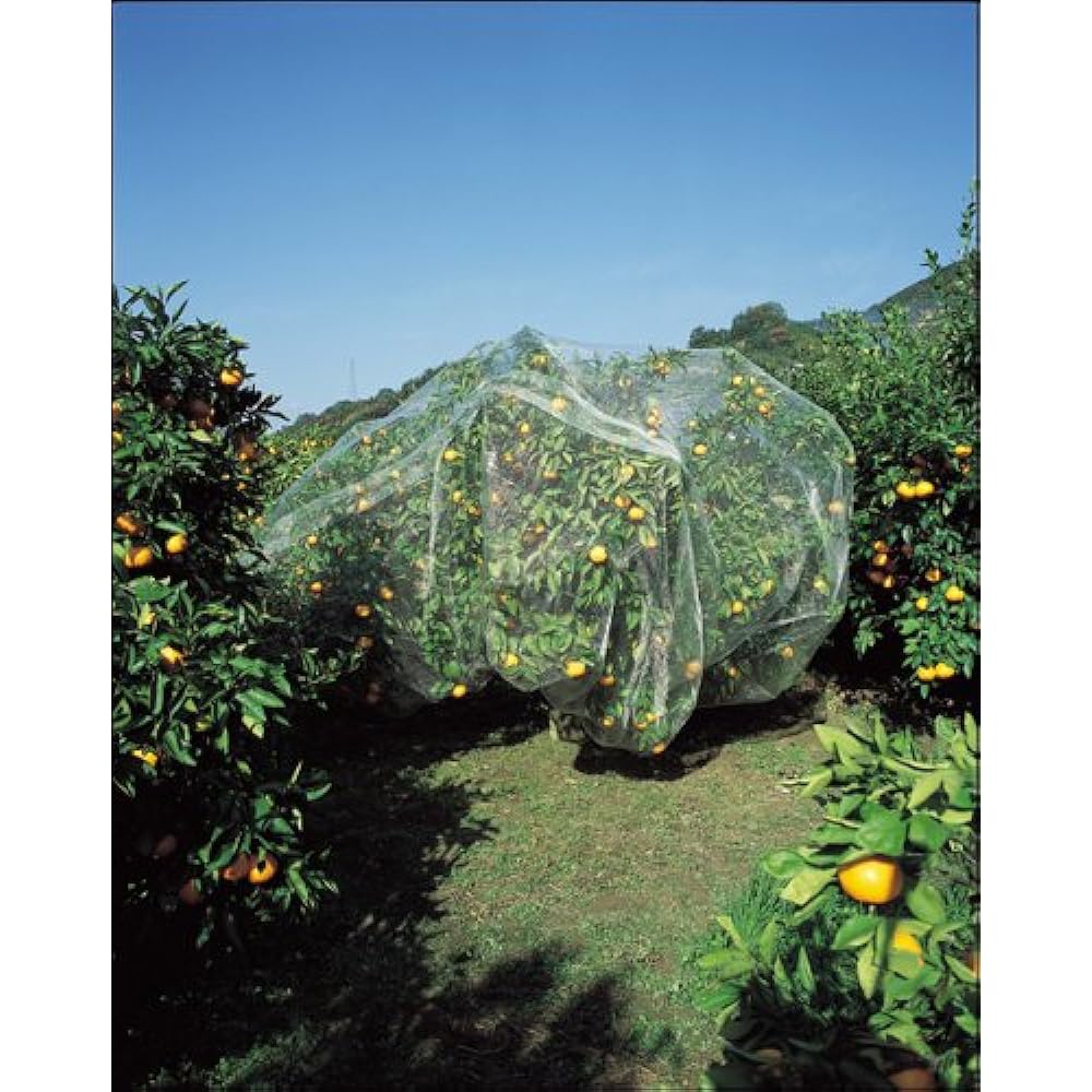 Kinboshi fruit tree bird prevention net 6 x 6 m