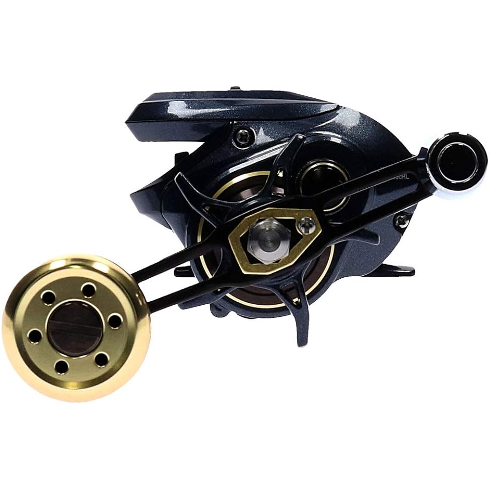 DAIWA Double Axis Reel with Counter 17 Tanasensor (Right/Left Handle) (2017 Model)