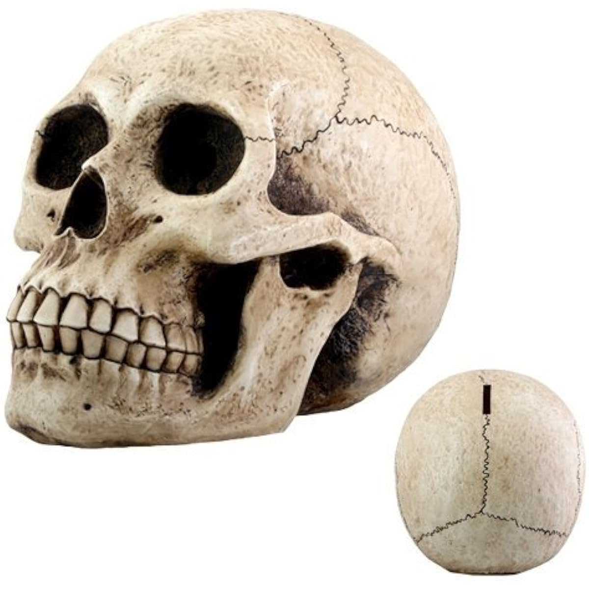 Piggy bank SKULL MONEY BANK