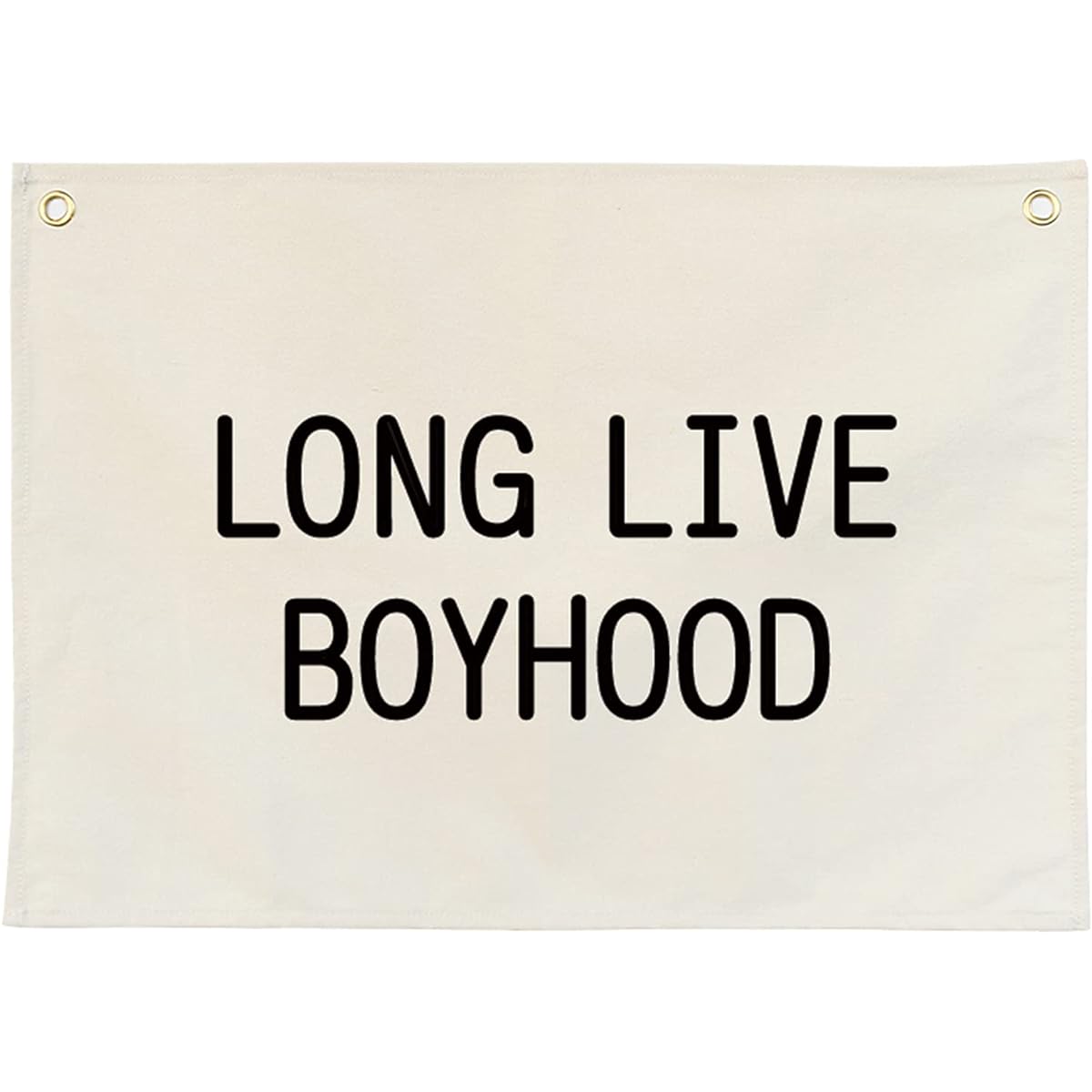 Canvas Banner Hanging Flag Banner Nursery Playroom Wall Decor for Kids Trendy Room Decor for Boys and Girls (Long Live Boyhood)