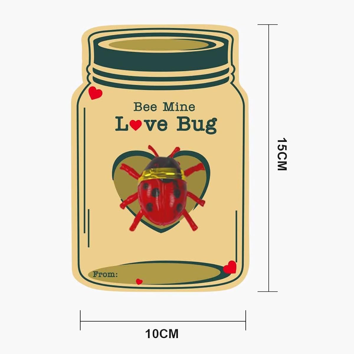 Valentine's Day Cards for Kids - 24 Pack Love Bug Cards Bulk with 12 Different Valentine Bug Toys - 3 Pages of Cute Butterfly Stickers - 24 Envelopes Class Party Favors Exchange Bulk for Girls Boys School Classroom Supplies