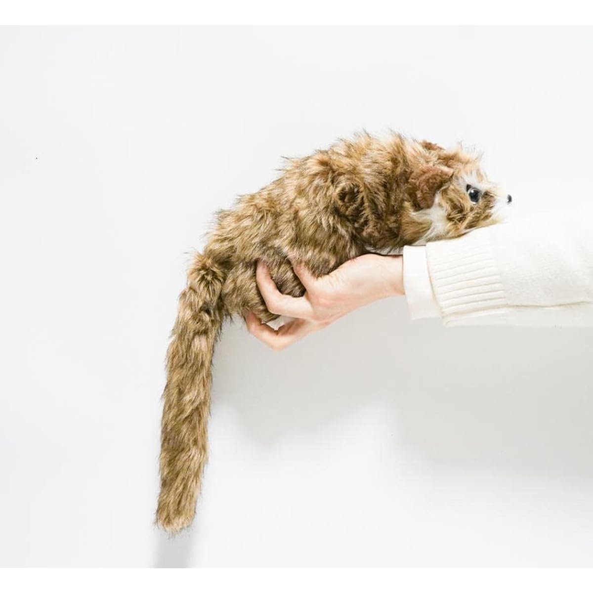 Magic trick, Raccoon Lucky-kun, White face, Spring Pet, Maggie, Magic trick, Cute, Animal, Raccoon, Stuffed toy