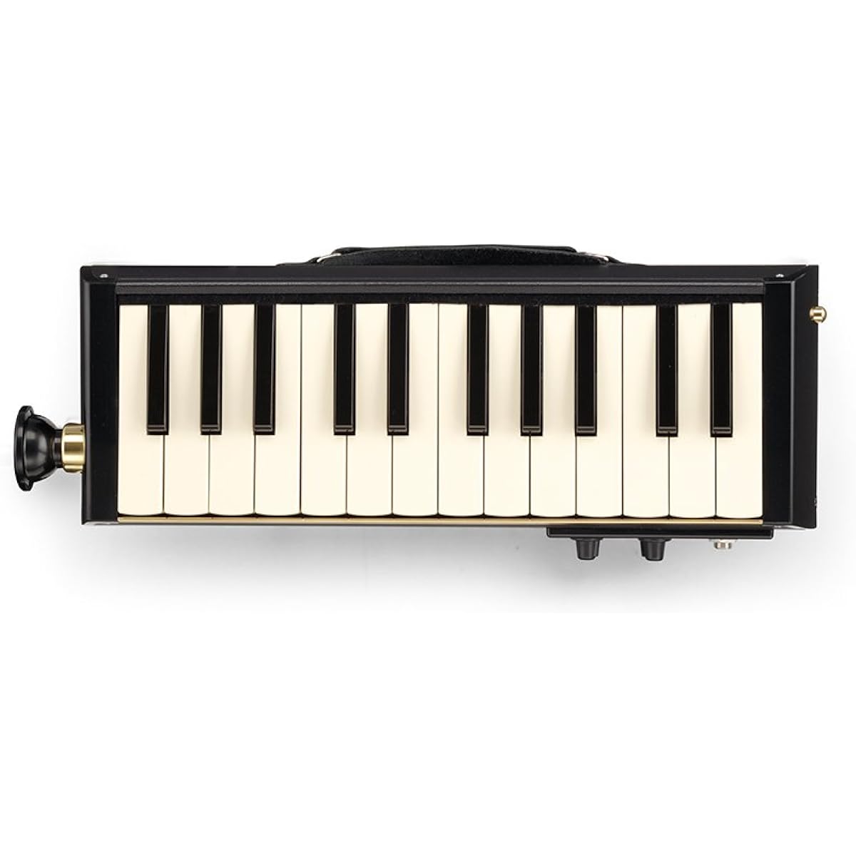 HAMMOND Hammond PRO-24B Keyboard Harmonica Electric Acoustic Bass Model