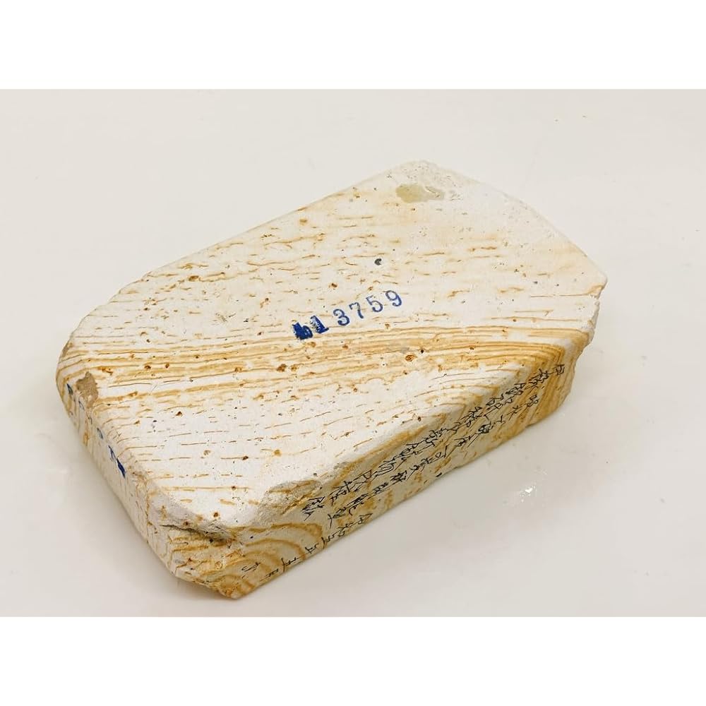 Natural whetstone Iyo brand rare new mineral Inutane mineral water absorption type with variable hardness grinding ability #59 /647g