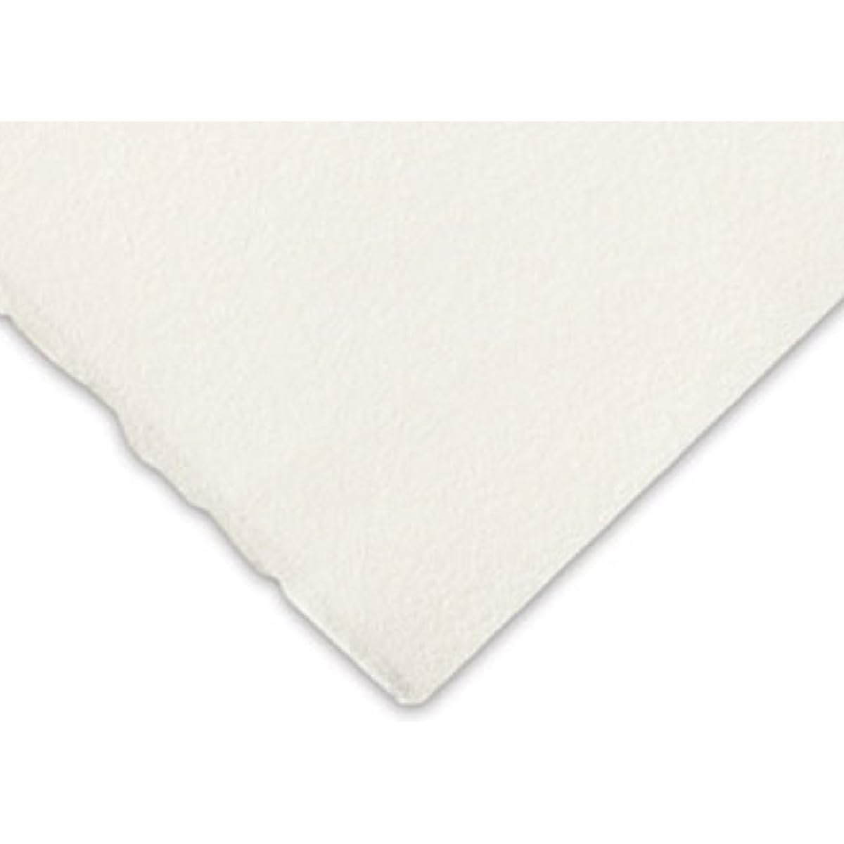 Arches Oil Paper 300Gsm 22X30 3 Sheet Pack by Canson