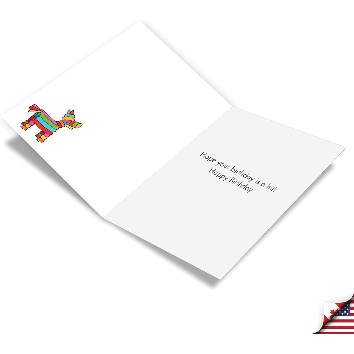 NobleWorks Cheerful Birthday Paper Cards with 5" x 7" Envelopes (1 Card) BdayArk Pinata C7951BDG