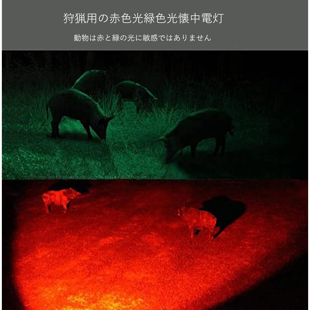 WINDFIRE LED Flashlight High Brightness Green White Red Purple 4 Colors Tactical Flashlight Rechargeable Multicolor Powerful Super Bright 1000 Lumens Zoomable Waterproof Night Astronomy, Photography, Hunting, Fishing, UV Check