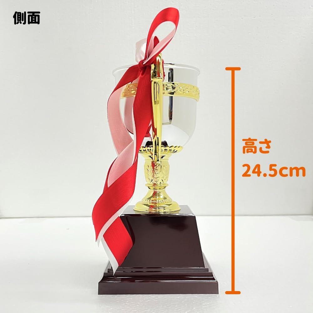 Victory Cup Height 24.5cm Comes with a plate with victory letters, 5 resin trophy pennants FB-125A