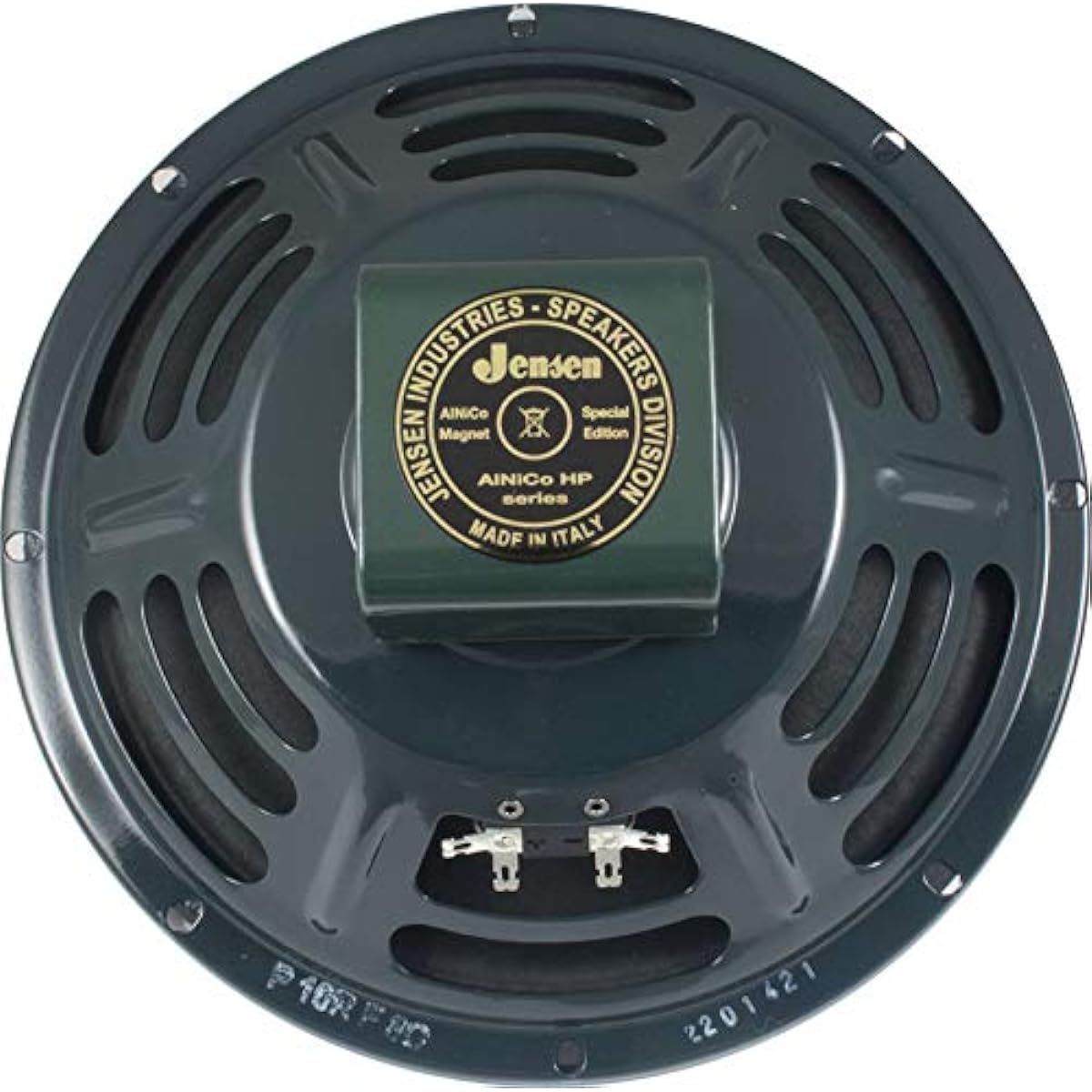 JENSEN P10R-F 8Ω Guitar Amplifier Speaker Unit