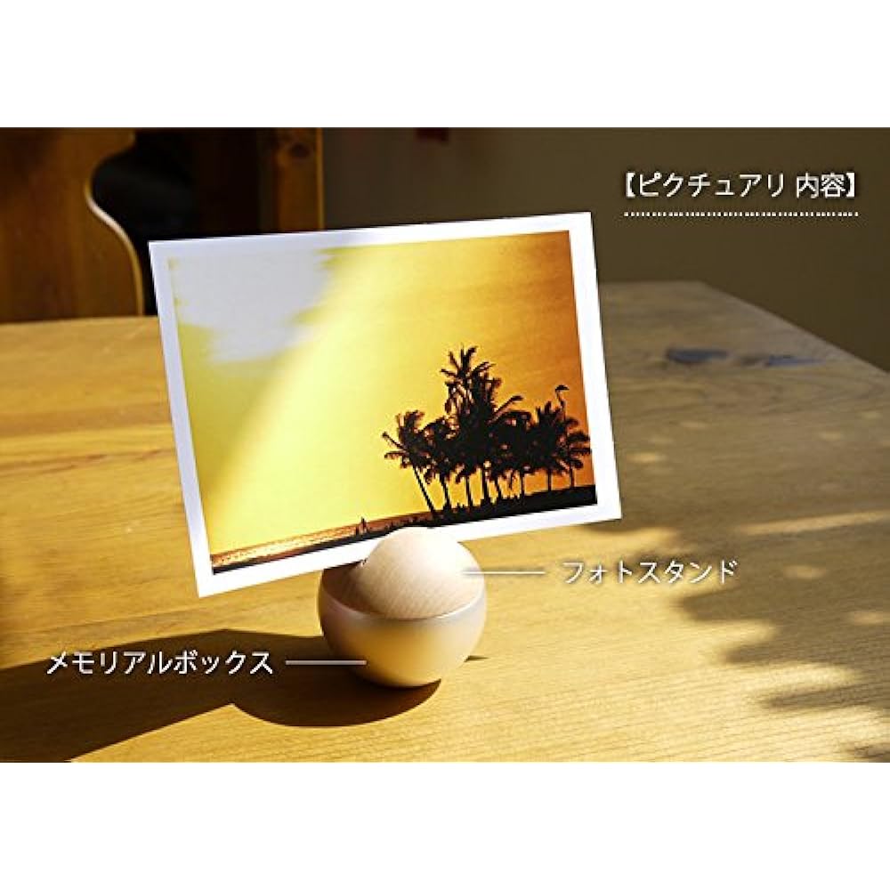 [Memorial service/photo frame] Picture Sphere Silver
