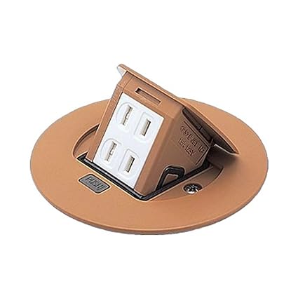 Panasonic Residential F Type Upcon Round 2 Ports Natural Birch 2P 15A 125V DU1100F