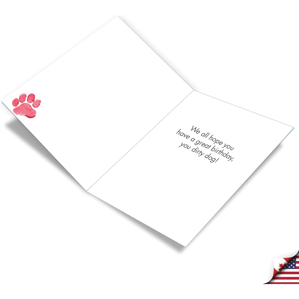 The Best Card Company Dirty Dogs - Birthday From Us Card with Envelope (Letterhead 9.7 x 11.2 inches) - Mutt Spilled Paint J7217CBDG-US