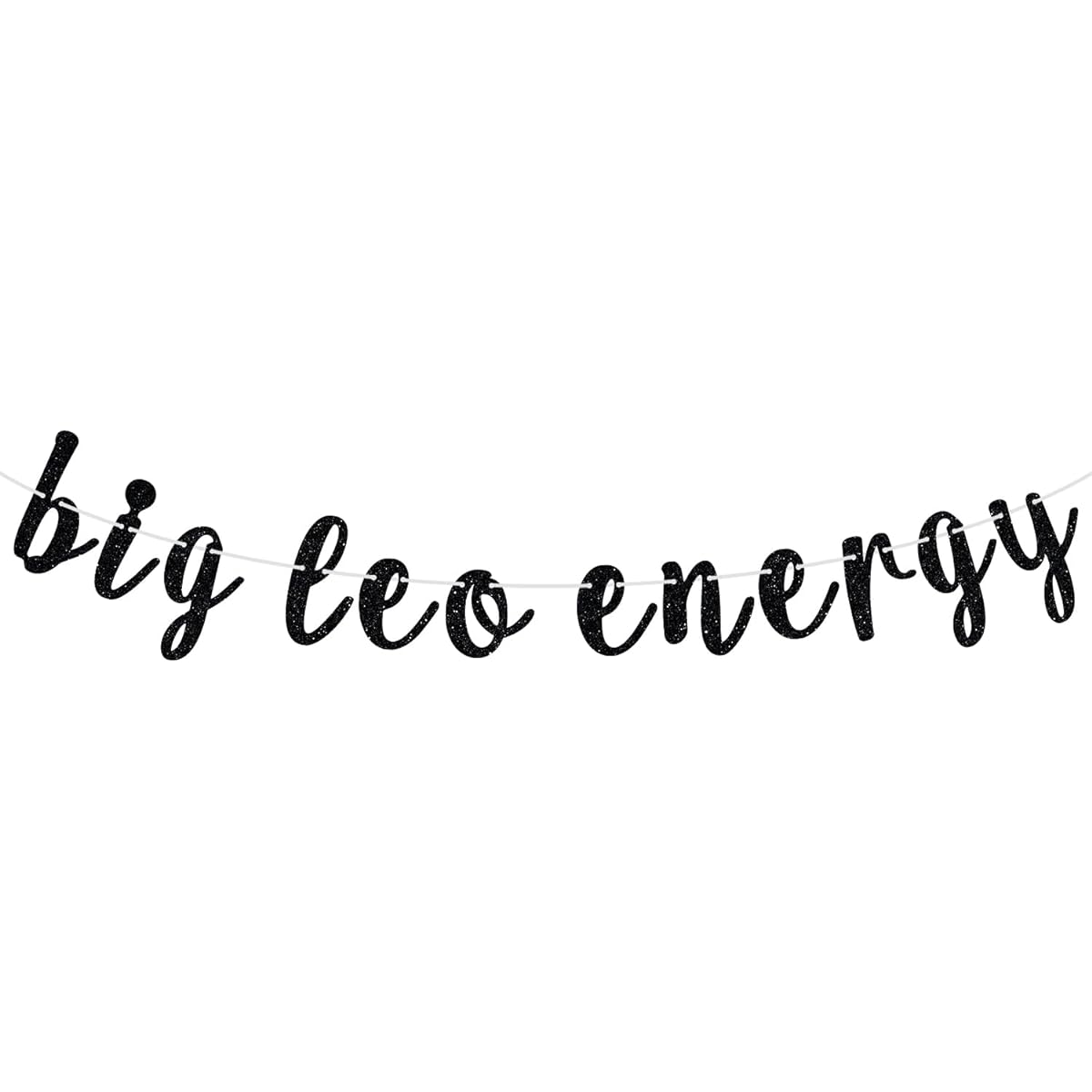 Big Leo Energy Banner Happy Birthday Leo Horoscope Star Sign 12 Zodiac Signs Theme Birthday Party Decorations Supplies for Boys and Girls Black Glitter