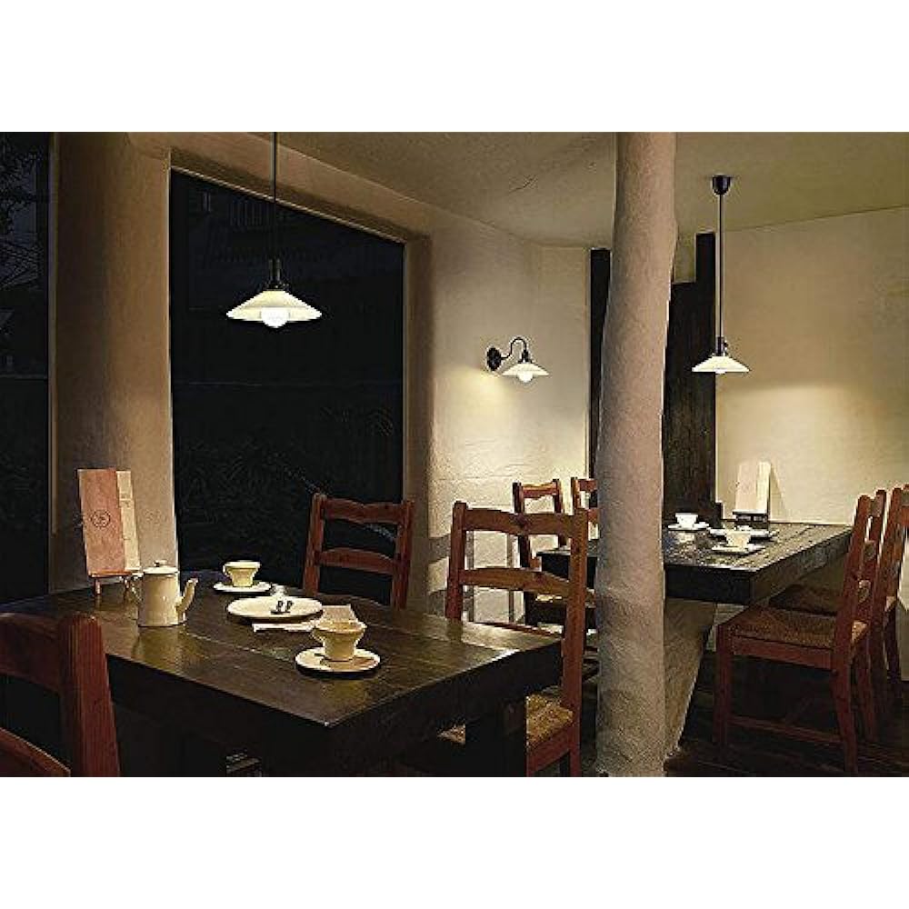 Daiko Electric DAIKO LED Bracket Light with Lamp LED Bulb 4.3W (E26) Bulb Color 2700K Electrical Work Required Black LZK-91226YTE