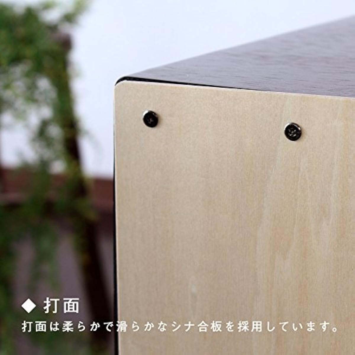 Cajon (with Snappy) Made in Japan TCA-2