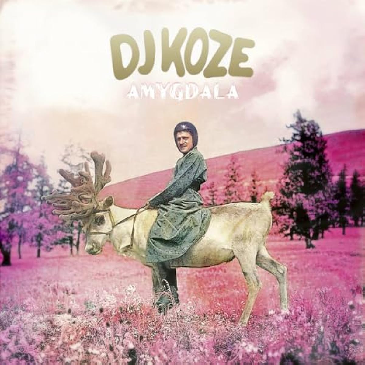 DJ KOZE/AMYGDALA - 10TH ANNIVERSARY EDITION (LTD) (2LP+7)