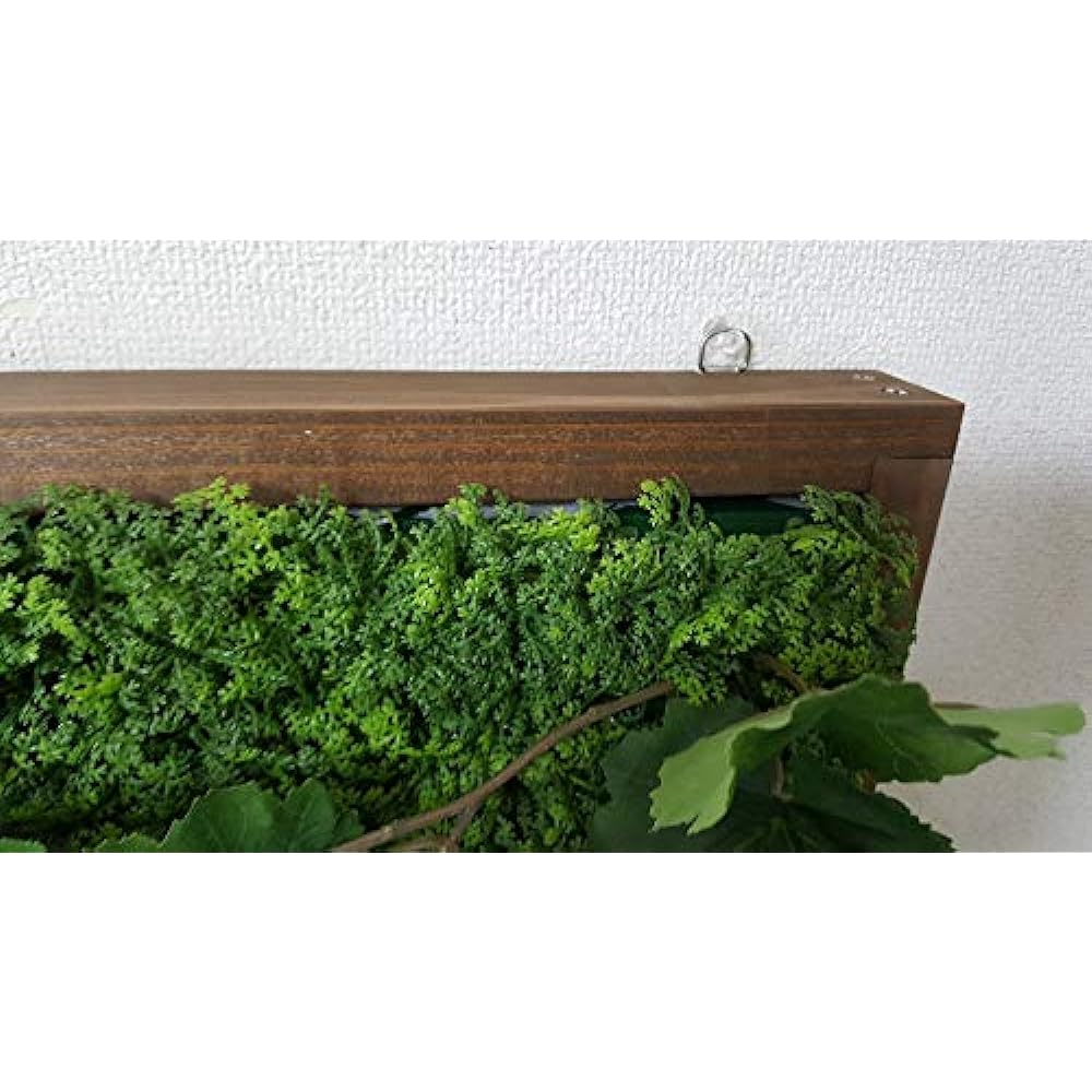 [Artificial plants] [Wall greening] [Green board] [Green panel] [Green wall hanging] Catalyst treated