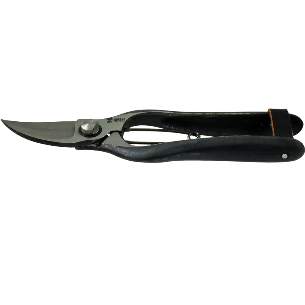 Hiizuka Scissors Hijo Pumpkin Cutting Scissors 200mm