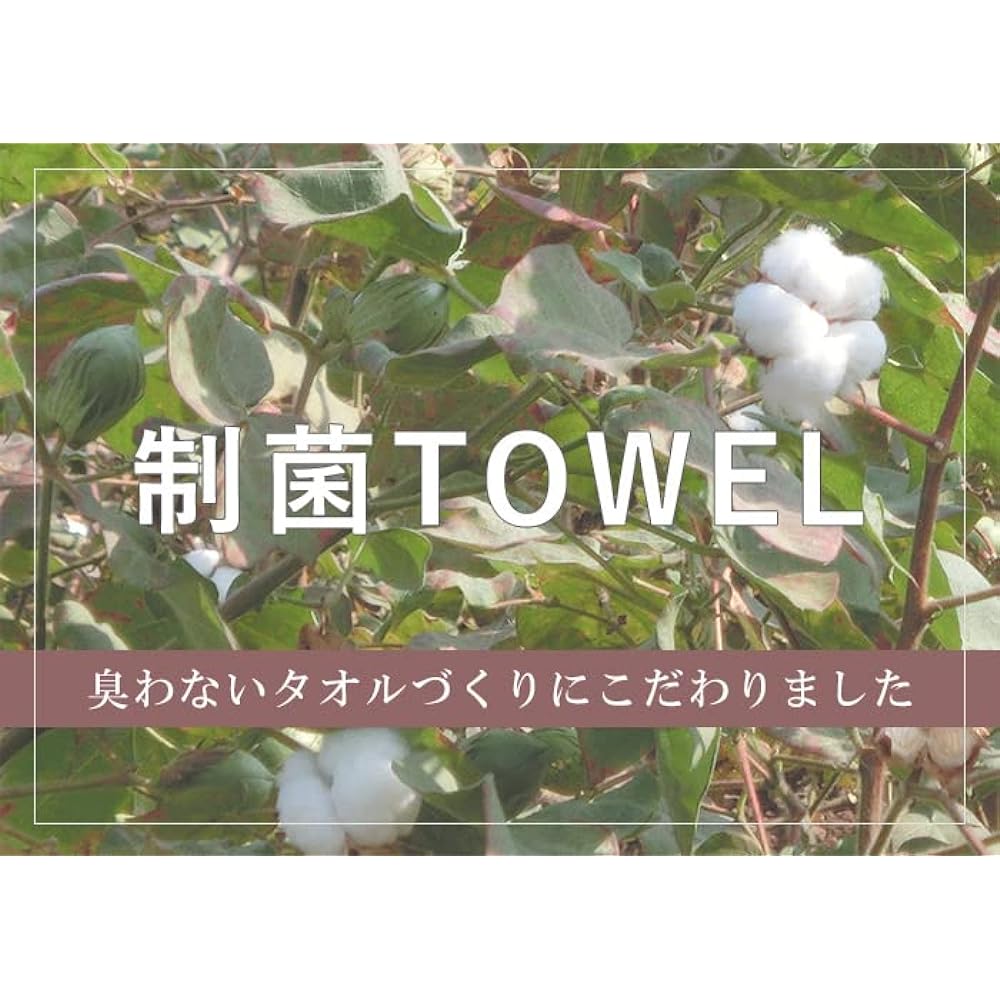 Imabari Towel Bath Towel, Set of 2, Antibacterial Treatment, Odor Resistant, 60x120cm, 100% Cotton, Made in Japan, Water Absorbent, Dry Room (Navy)