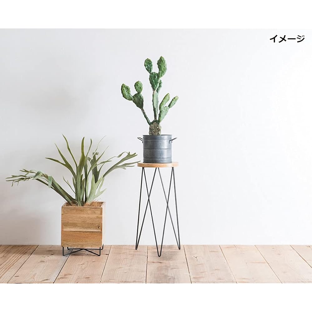 Posh Living Flower Stand Circle Stand 27 x 27 x 50cm 41301