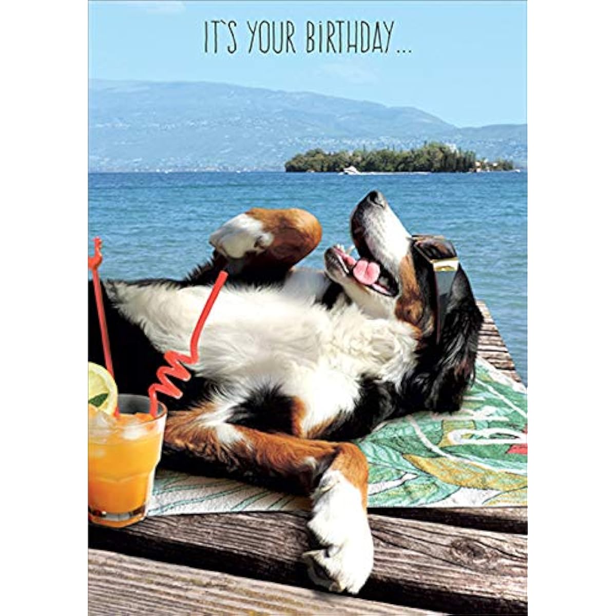 RSVP Dog Relaxing on a Dock Near a Lake Funny/Humorous Birthday Card, Yellow, 5" x 7", GC-B4068