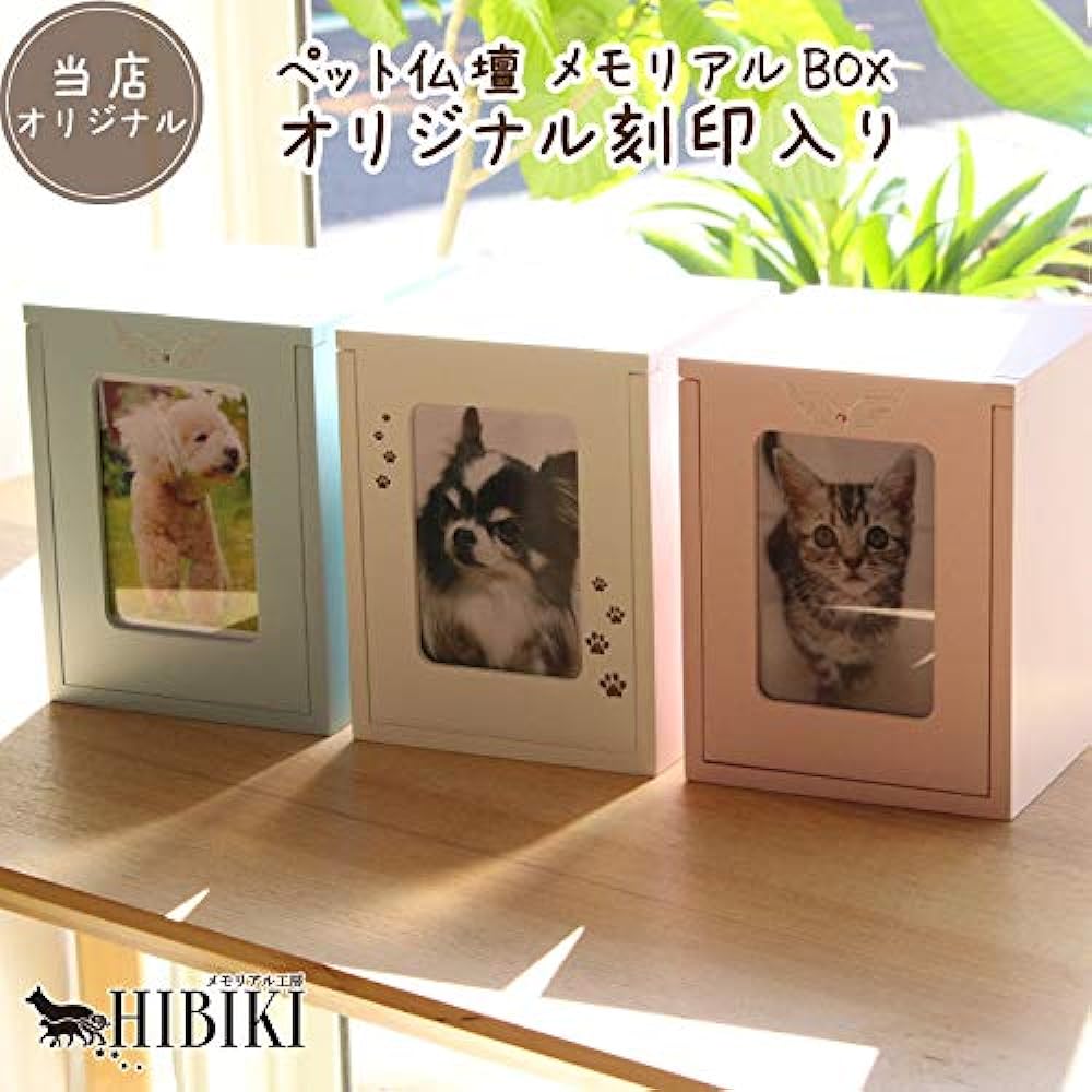 Pet Buddhist Altar Memorial BOX Box-shaped Buddhist Altar Footprint Paw Carving Can Store Urn Mini Buddhist Altar (White)