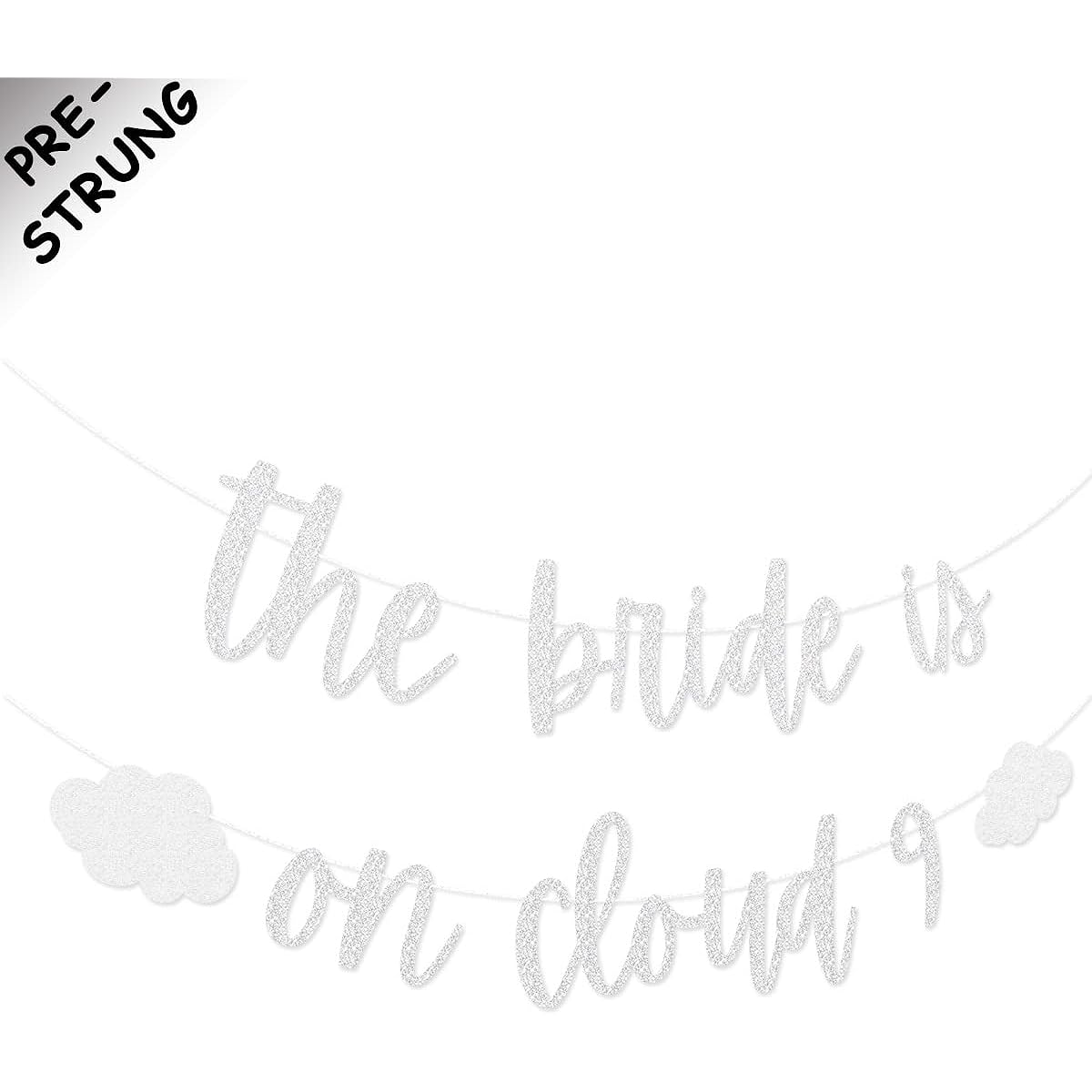 The Bride Is on Cloud 9 Bachelorette Party Banner