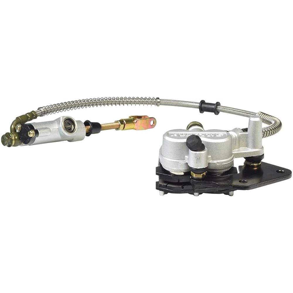 AlveyTech Rear Foot Brake, Disc, Pad, Master Cylinder Assembly for 110cc & 125cc Dirt Bikes