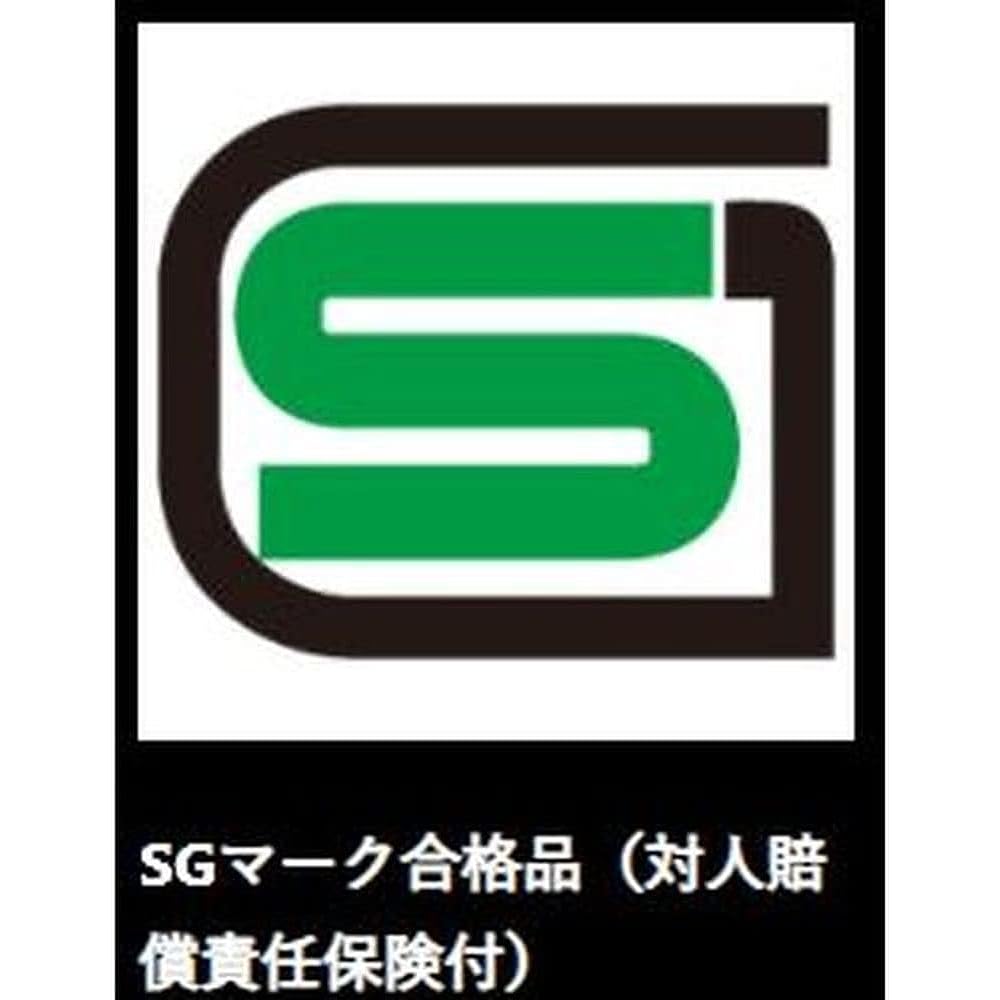 ZETT Hard Baseball Pro Status Catcher Mask Titanium Silver (1300) BLM1265A