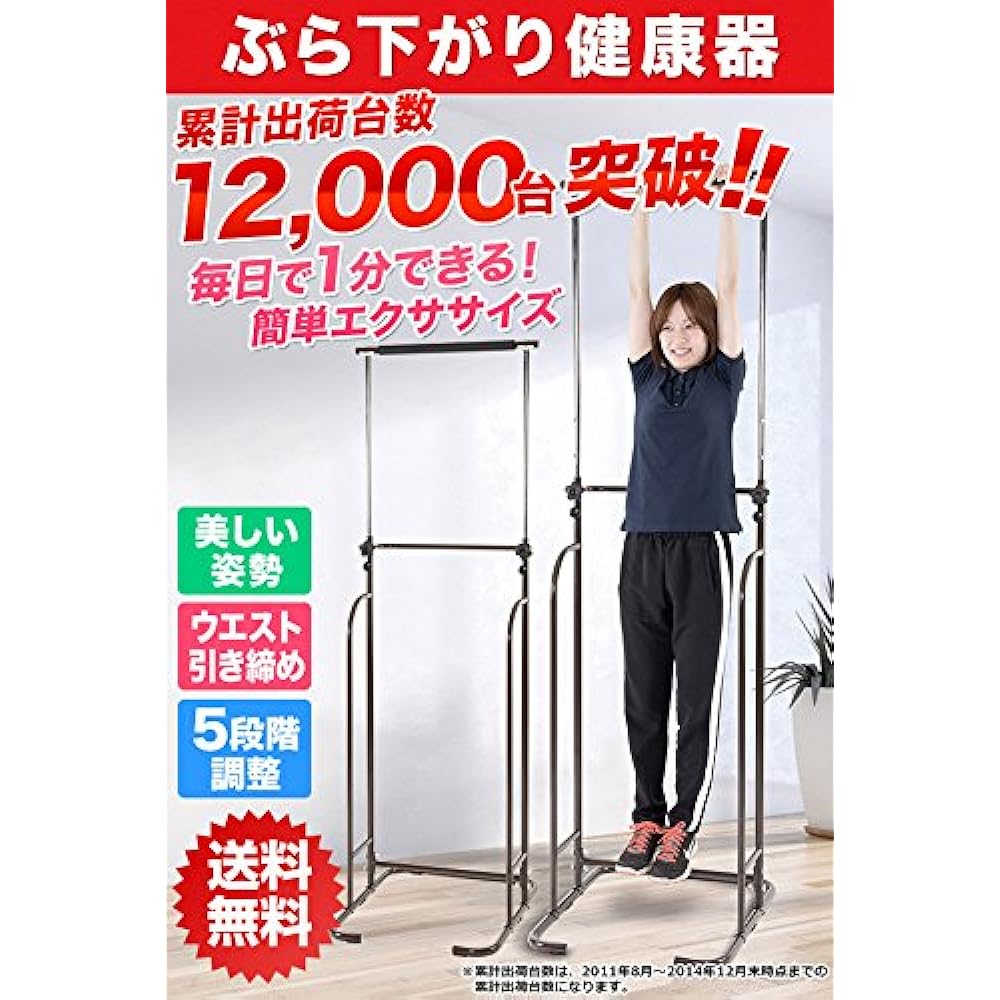 Yamazen Hanging Health Container BBK-220(DBR)