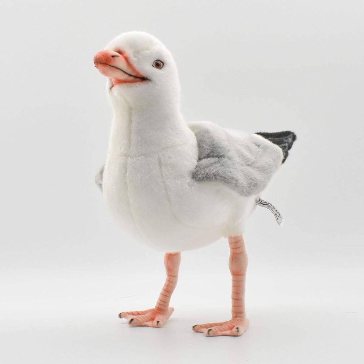 BH7259 HANSA Seagull