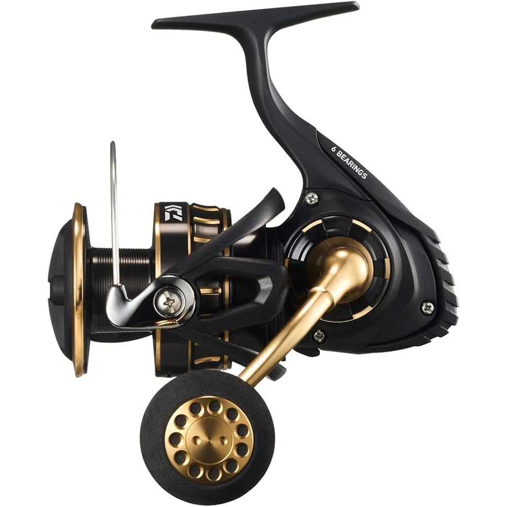 DAIWA spinning reel 23BG SW 4000~18000 various (2023 model)